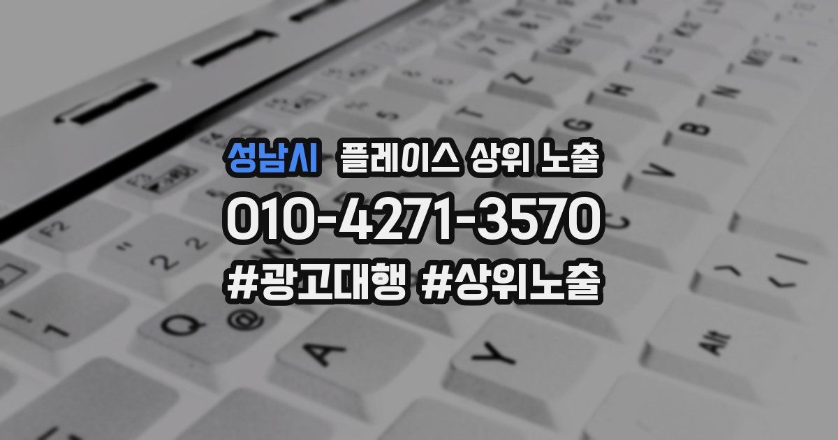 성남시 플레이스 상위 노출