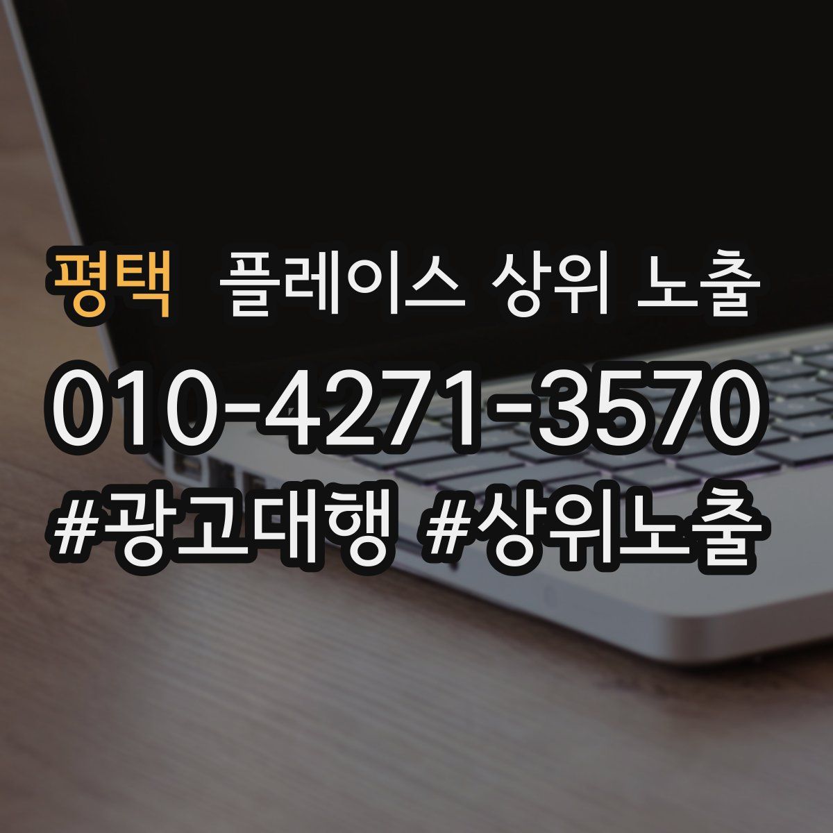 평택 플레이스 상위 노출