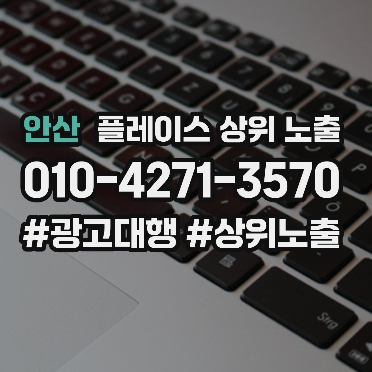 안산 플레이스 상위 노출 전략