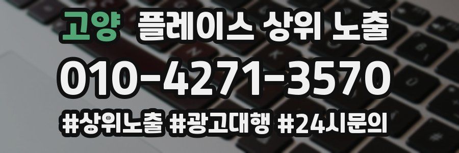 고양 플레이스 상위 노출 안내