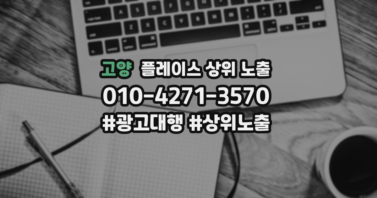 고양 플레이스 상위 노출 가이드