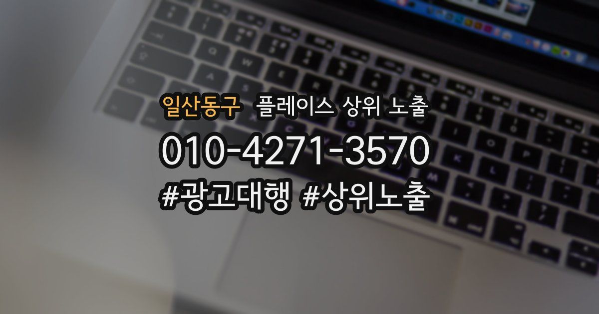 일산동구 플레이스 상위 노출 안내