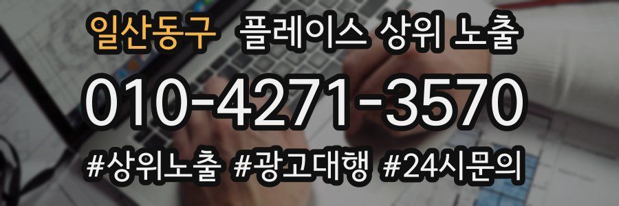 일산동구 플레이스 상위 노출 안내