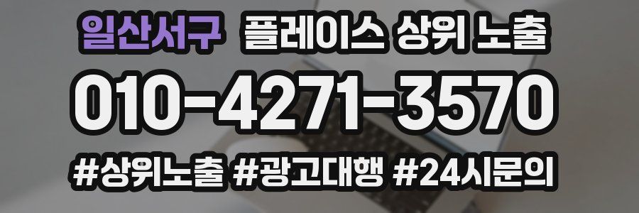 일산서구 플레이스 상위 노출