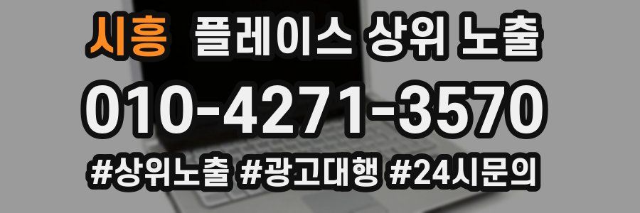 시흥 플레이스 상위 노출