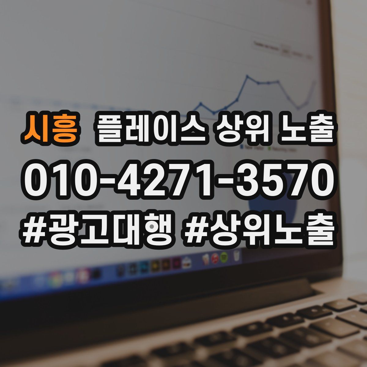 시흥 플레이스 상위 노출 개선