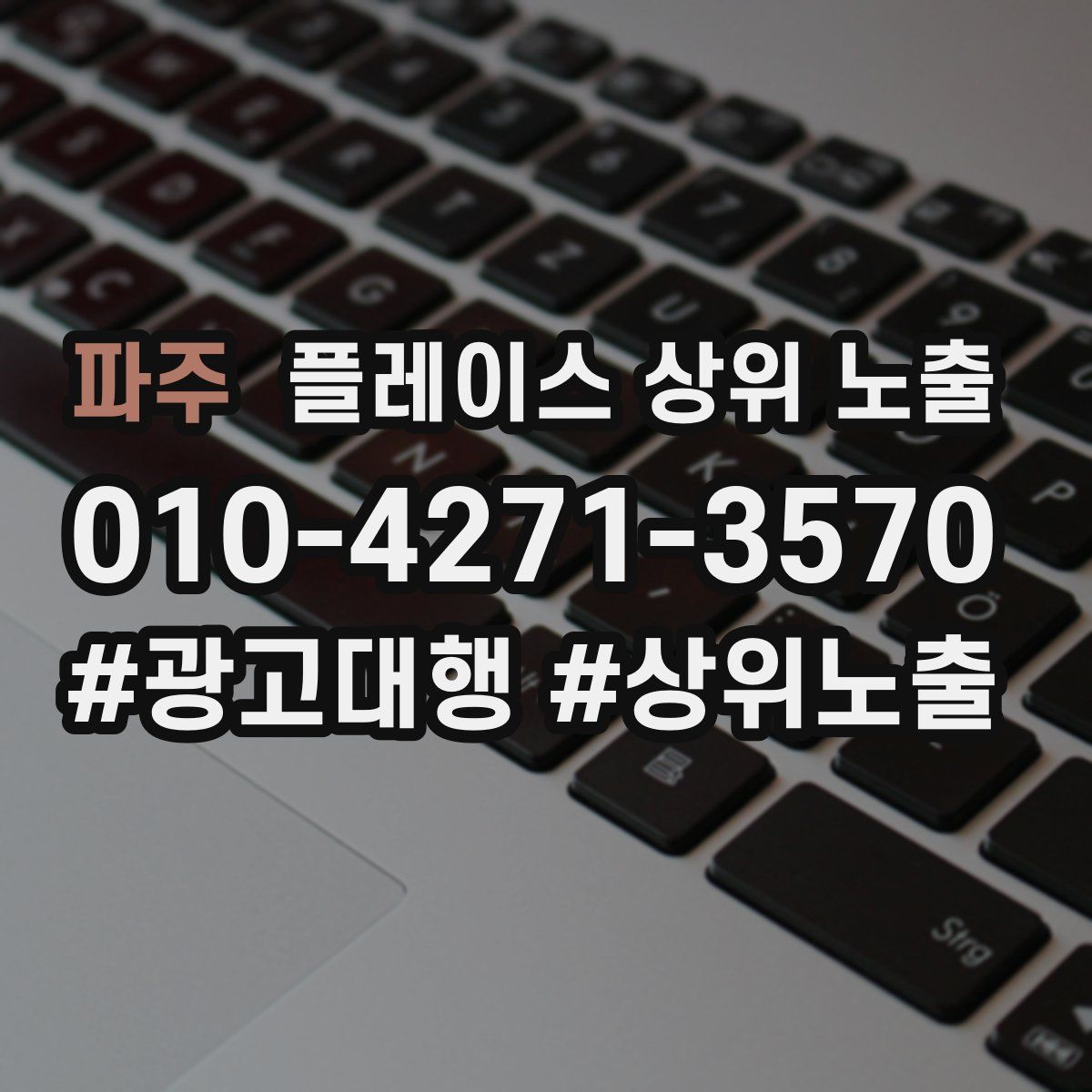 파주 플레이스 상위 노출 가이드