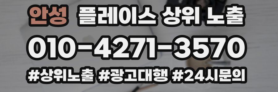 안성 플레이스 상위 노출