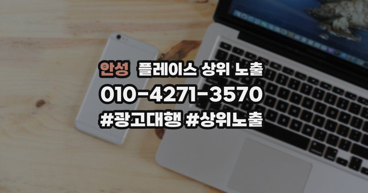 안성 플레이스 상위 노출 전략