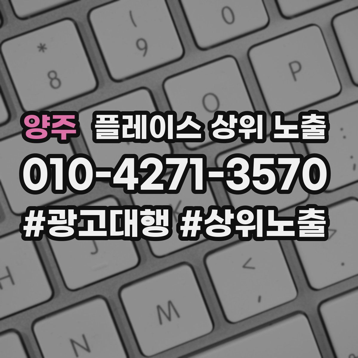 양주 플레이스 상위 노출 상담