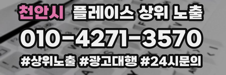 천안시 플레이스 상위 노출 개선