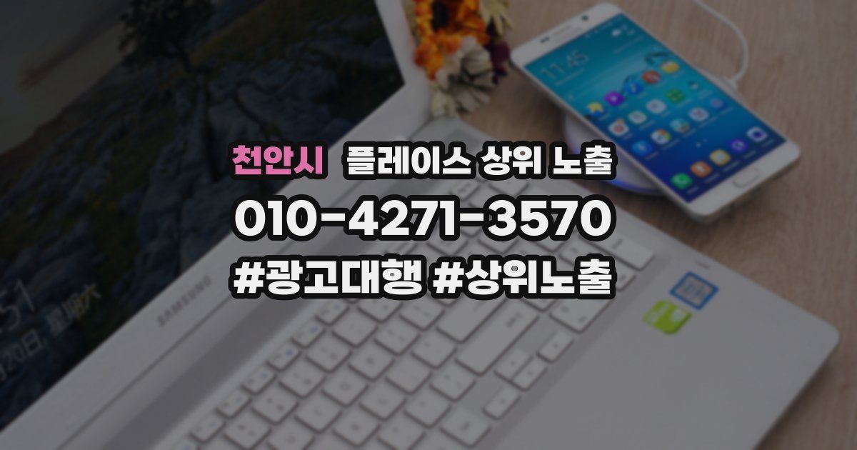 천안시 플레이스 상위 노출 개선
