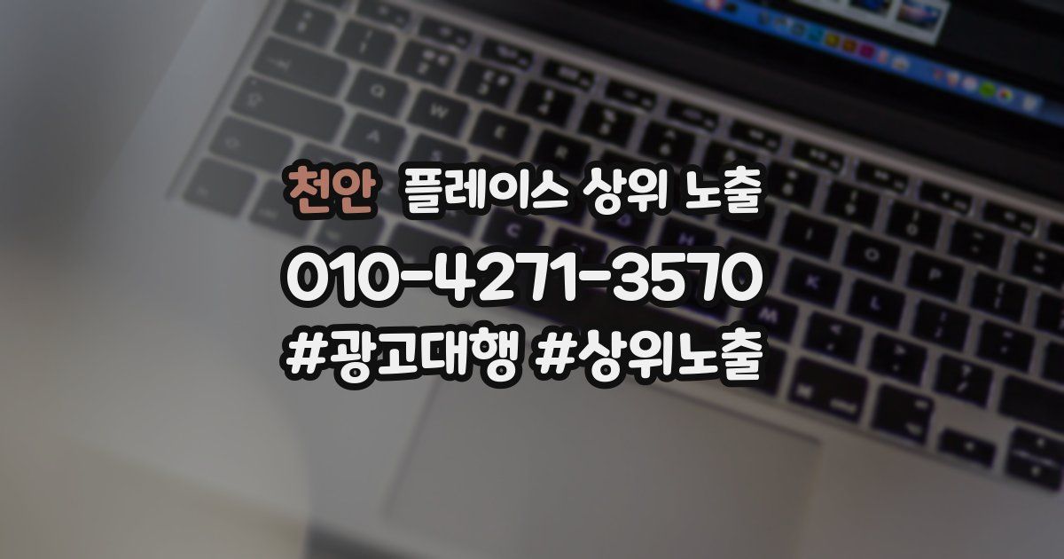 천안 플레이스 상위 노출 안내