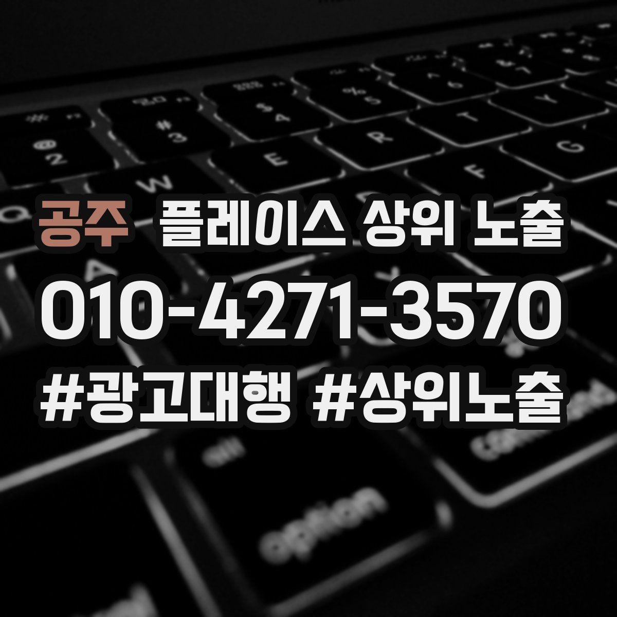 공주 플레이스 상위 노출 검색 의도별 문구를 다르게 쓰는 법