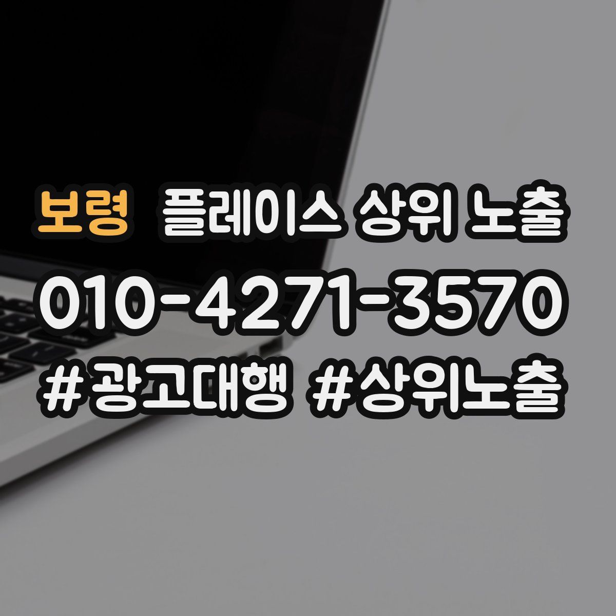보령 플레이스 상위 노출 상담