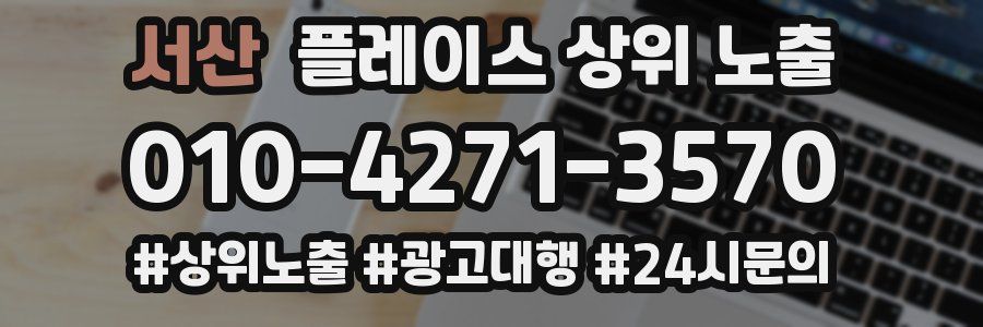 서산 플레이스 상위 노출 개선