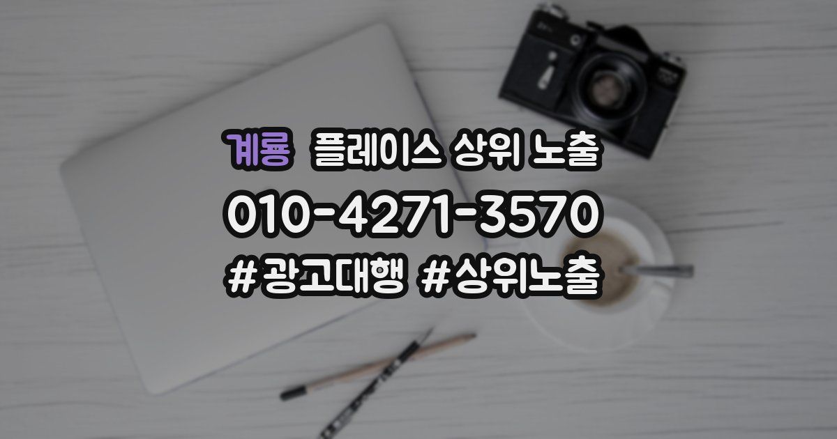계룡 플레이스 상위 노출 전략