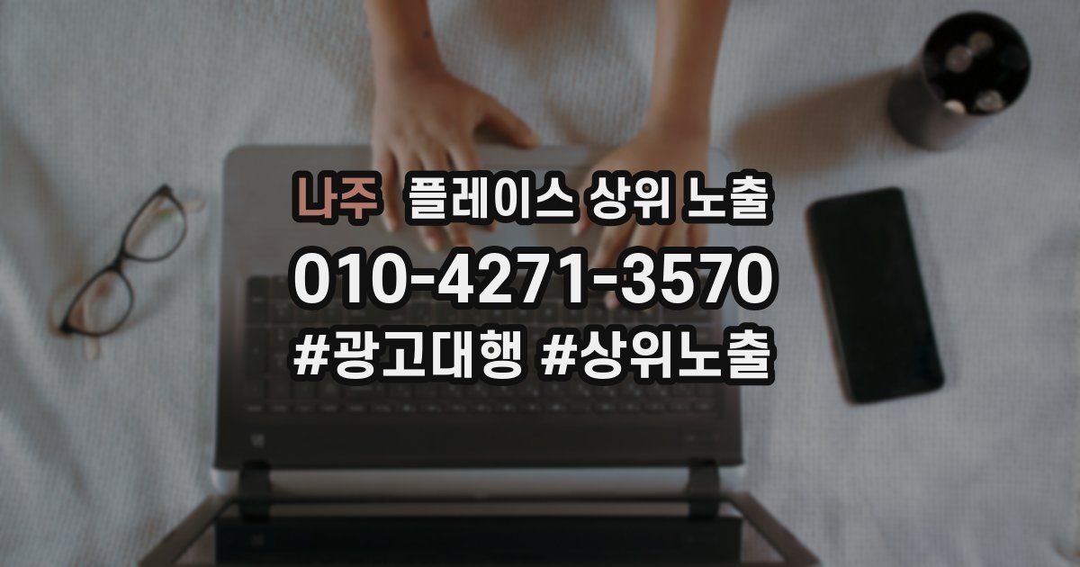 나주 플레이스 상위 노출 개선