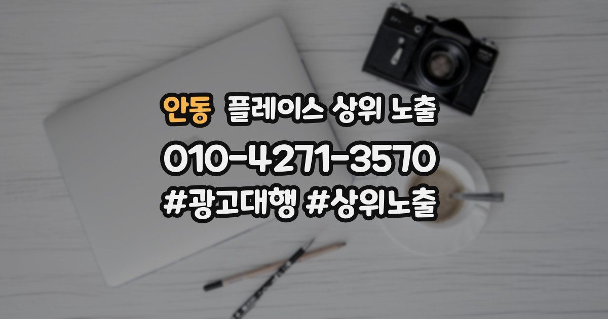 안동 플레이스 상위 노출 전략
