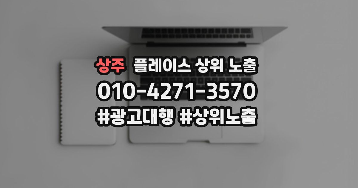 상주 플레이스 상위 노출 개선