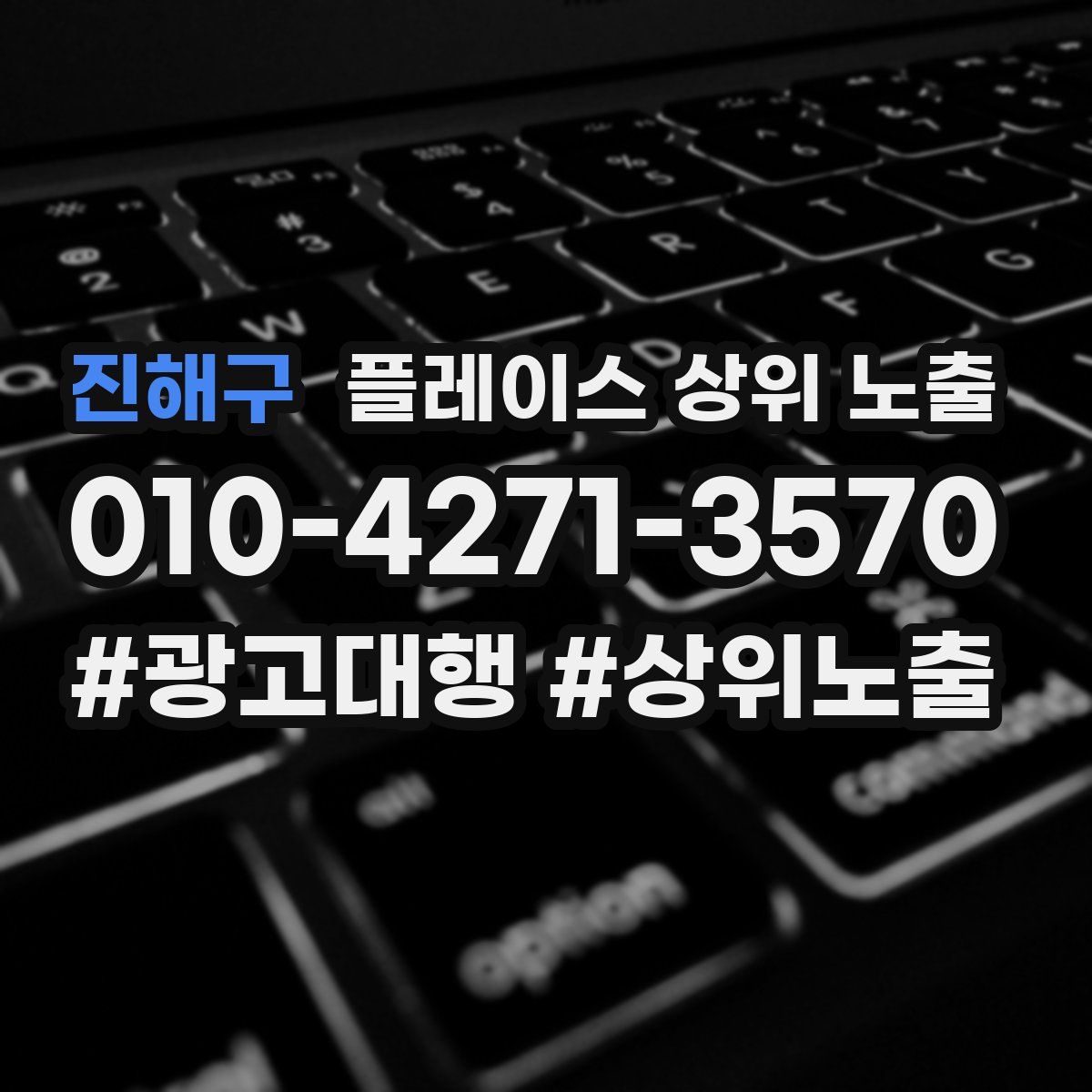 진해구 플레이스 상위 노출