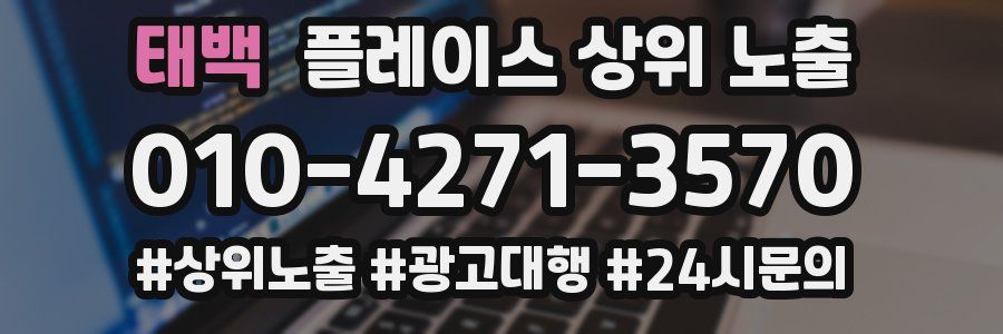 태백 플레이스 상위 노출 안내