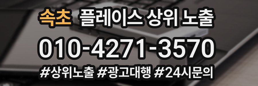 속초 플레이스 상위 노출 안내