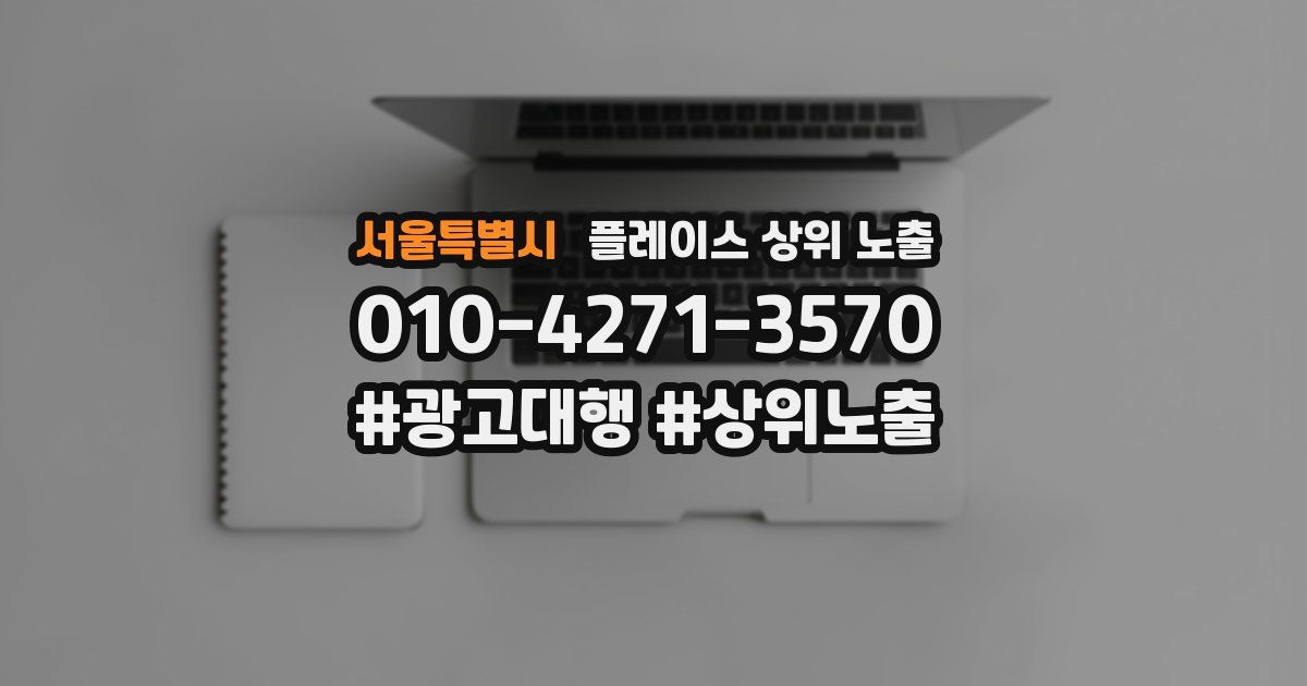 서울특별시 플레이스 상위 노출 가이드