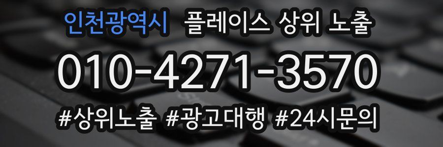 인천광역시 플레이스 상위 노출 상담