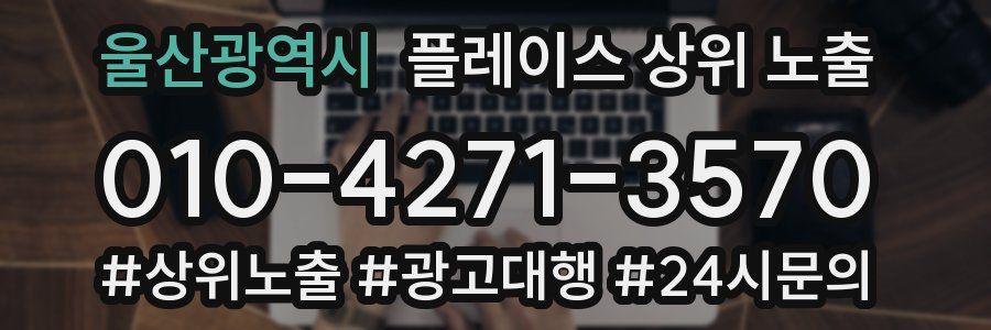 울산광역시 플레이스 상위 노출 개선