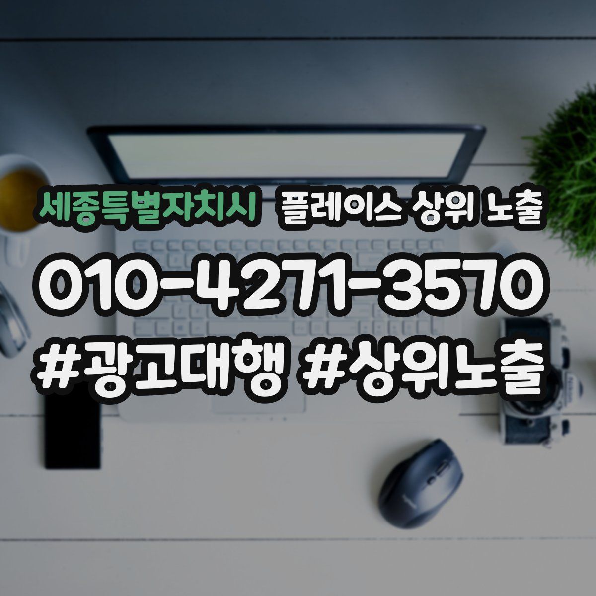 세종특별자치시 플레이스 상위 노출 개선