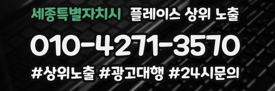 세종특별자치시 플레이스 상위 노출