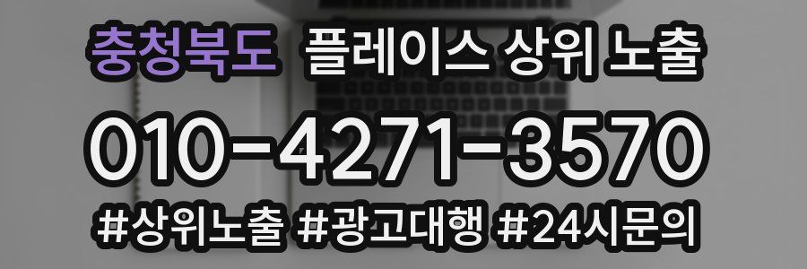 충청북도 플레이스 상위 노출 개선