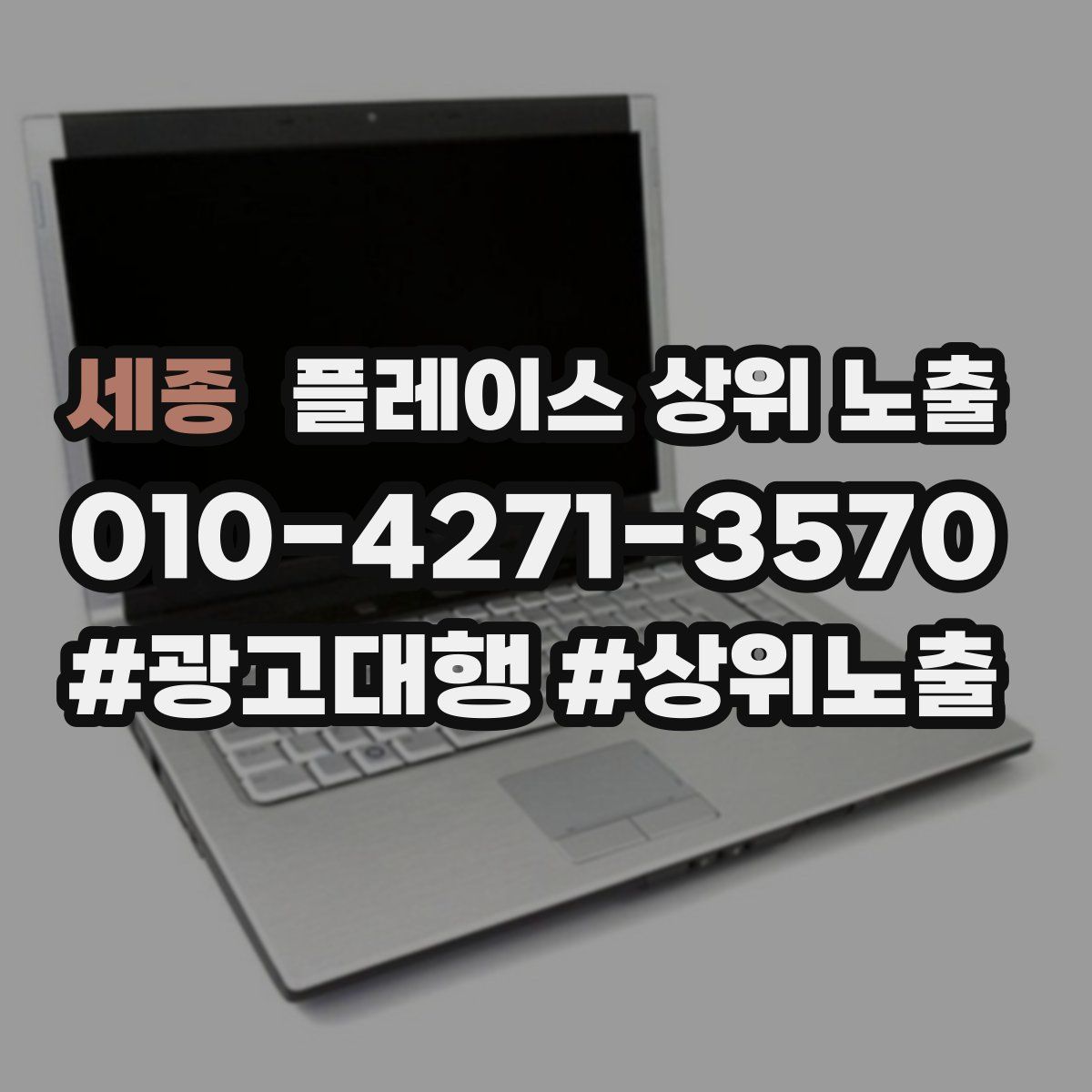 세종 플레이스 상위 노출 가이드