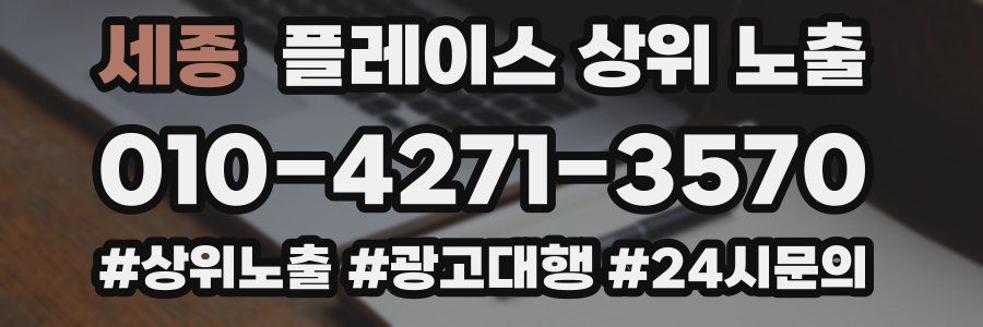 세종 플레이스 상위 노출