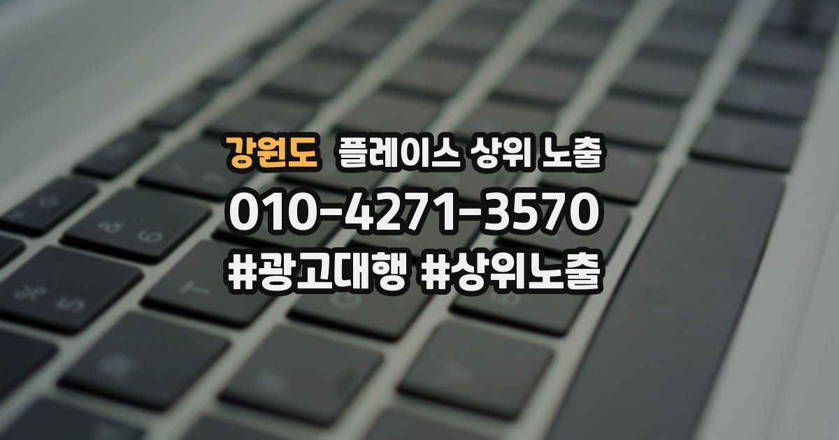 강원도 플레이스 상위 노출 상담