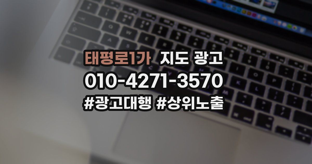 태평로1가 지도 광고