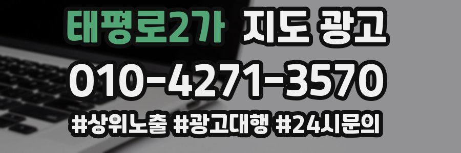 태평로2가 지도 광고