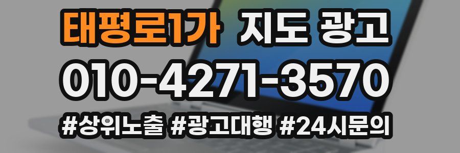 태평로1가 지도 광고