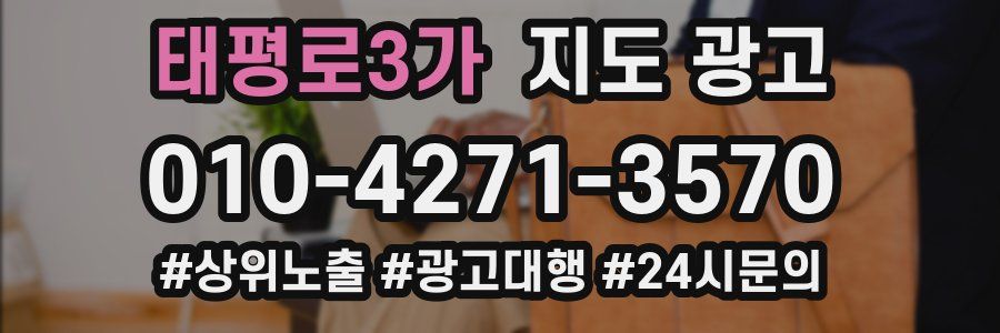 태평로3가 지도 광고