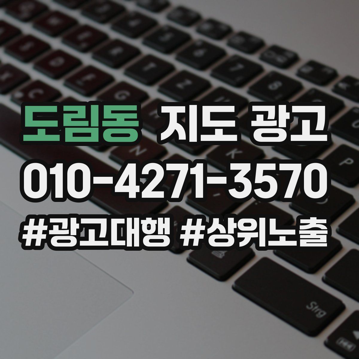 도림동 지도 광고