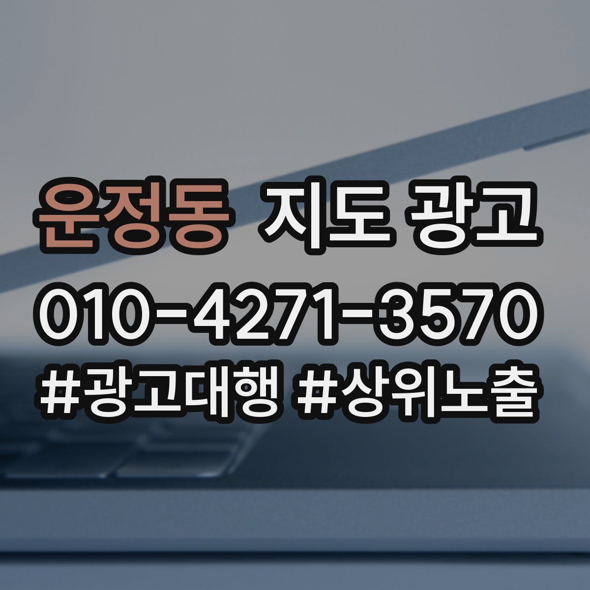 운정동 지도 광고