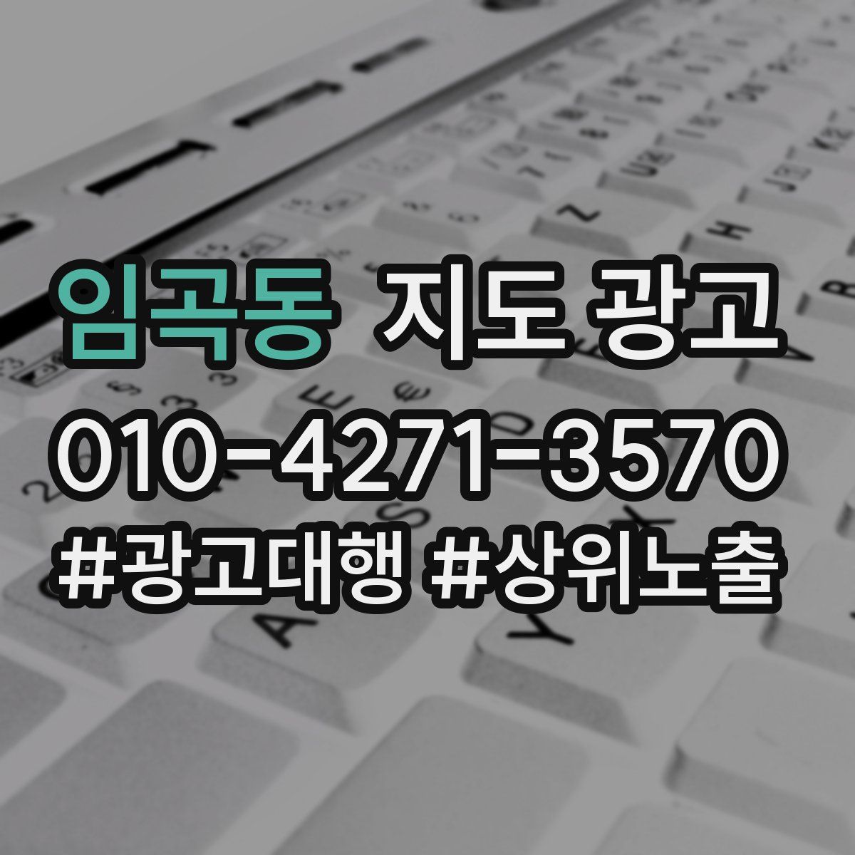 임곡동 지도 광고