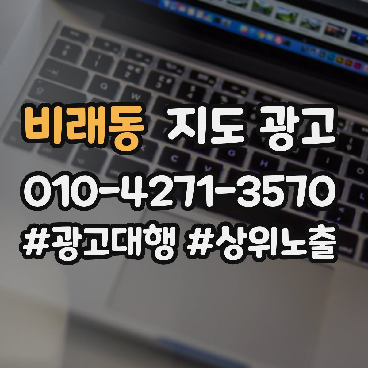 비래동 지도 광고