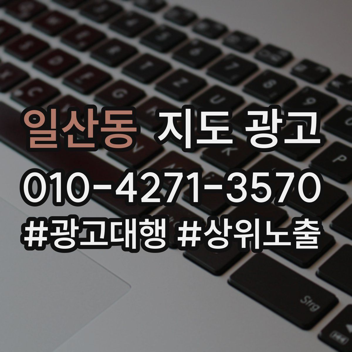 일산동 지도 광고