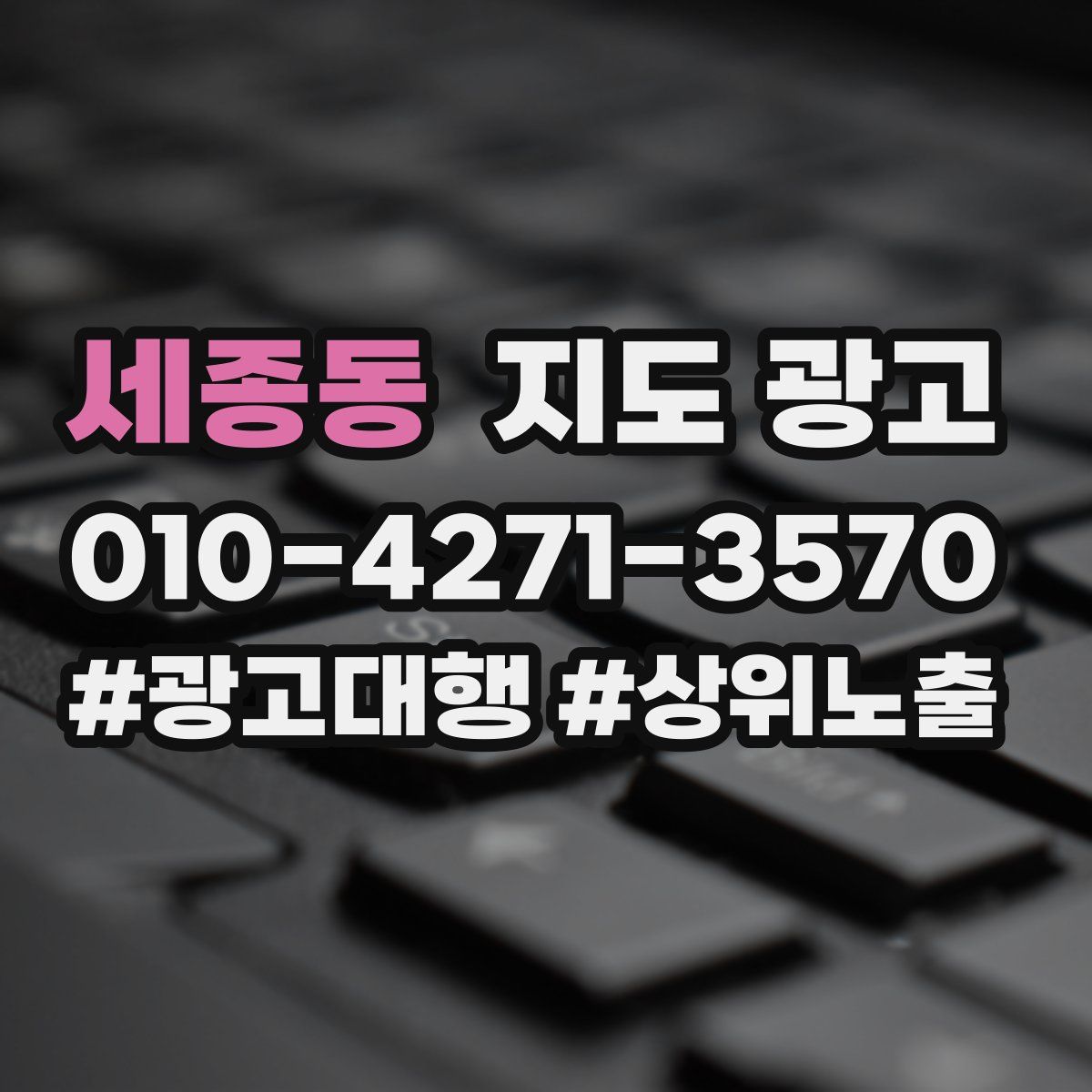 세종동 지도 광고