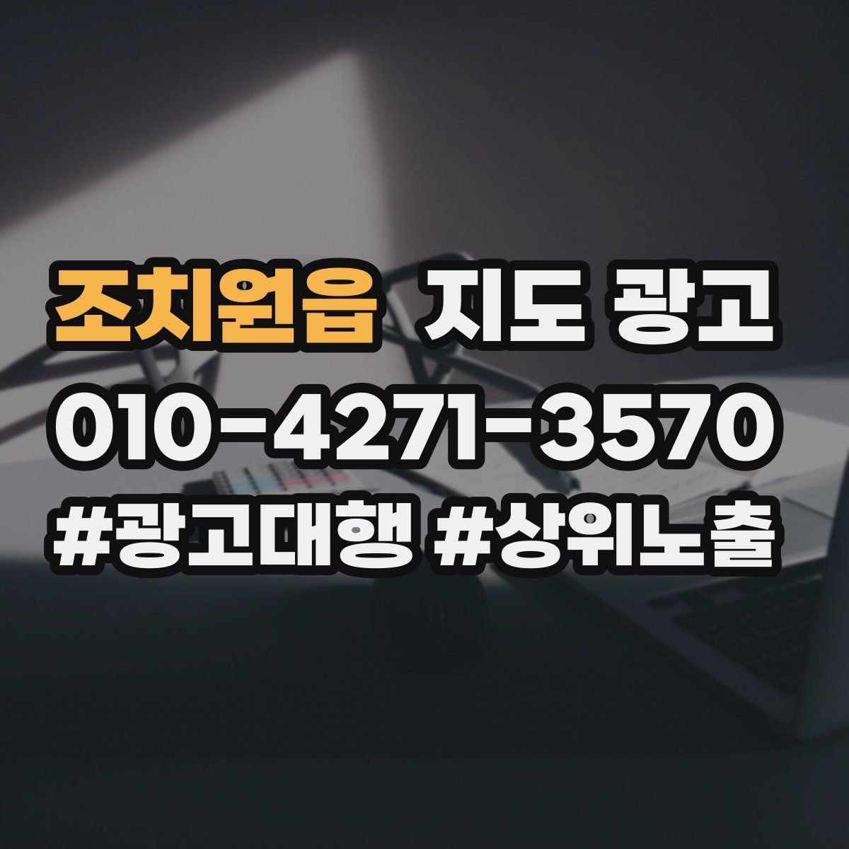 조치원읍 지도 광고