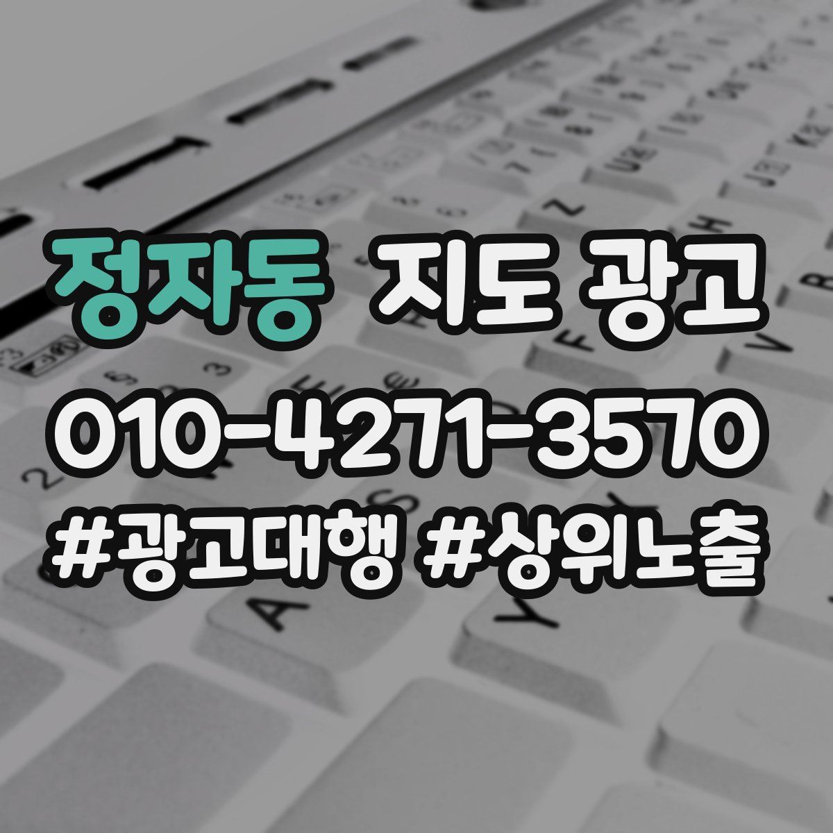 정자동 지도 광고