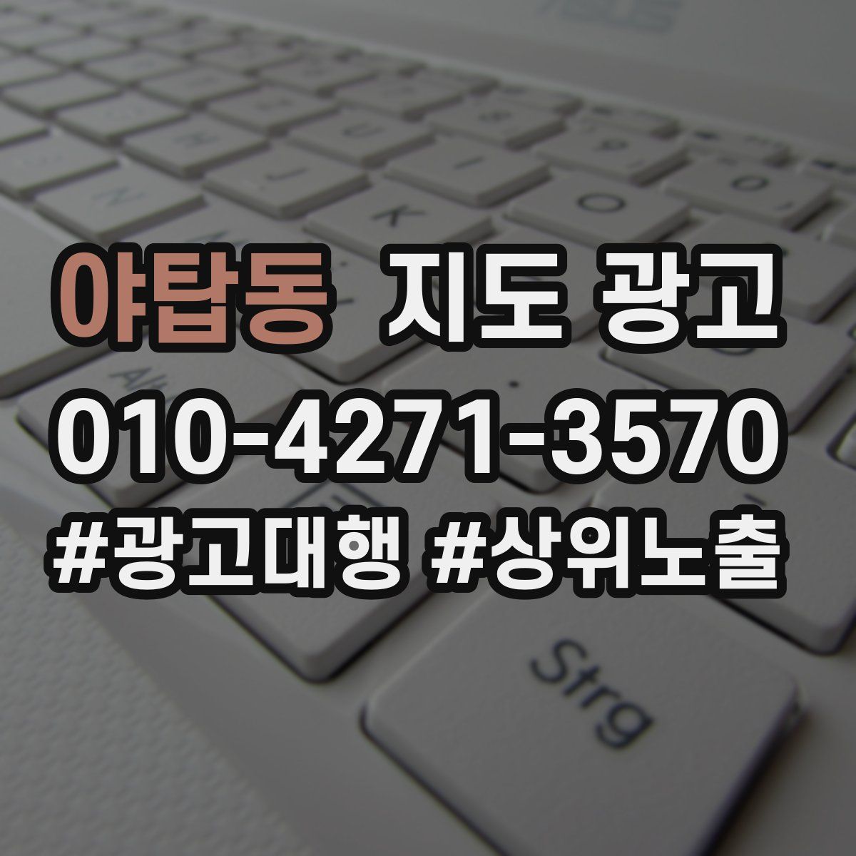 야탑동 지도 광고