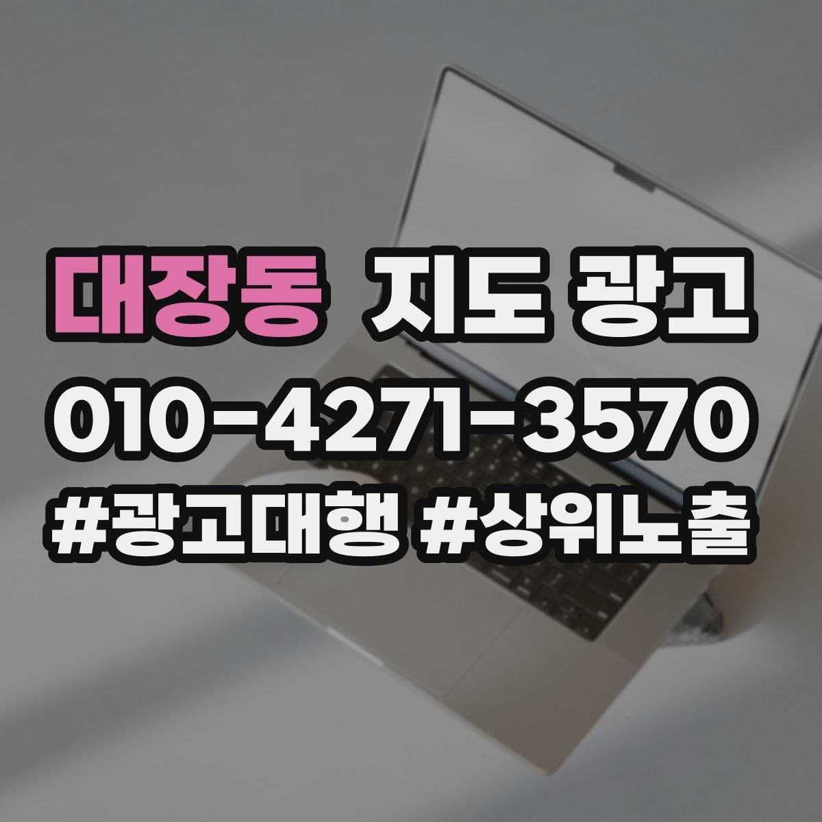 대장동 지도 광고